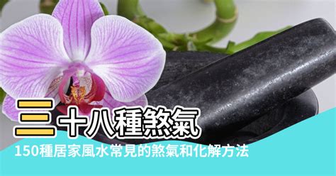 風水窗外有橋|【風水】輕鬆化解屋外常見二十煞，煞氣也能變生機!